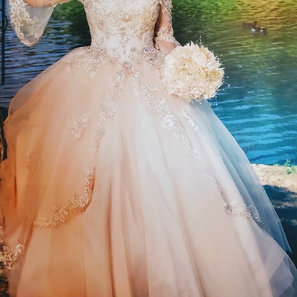 Quinceañera Dress - Picture 8 of 11